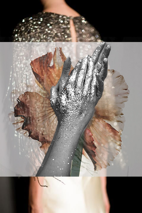 Collage by Aylea Skye/ Original Images by Unknown Sources