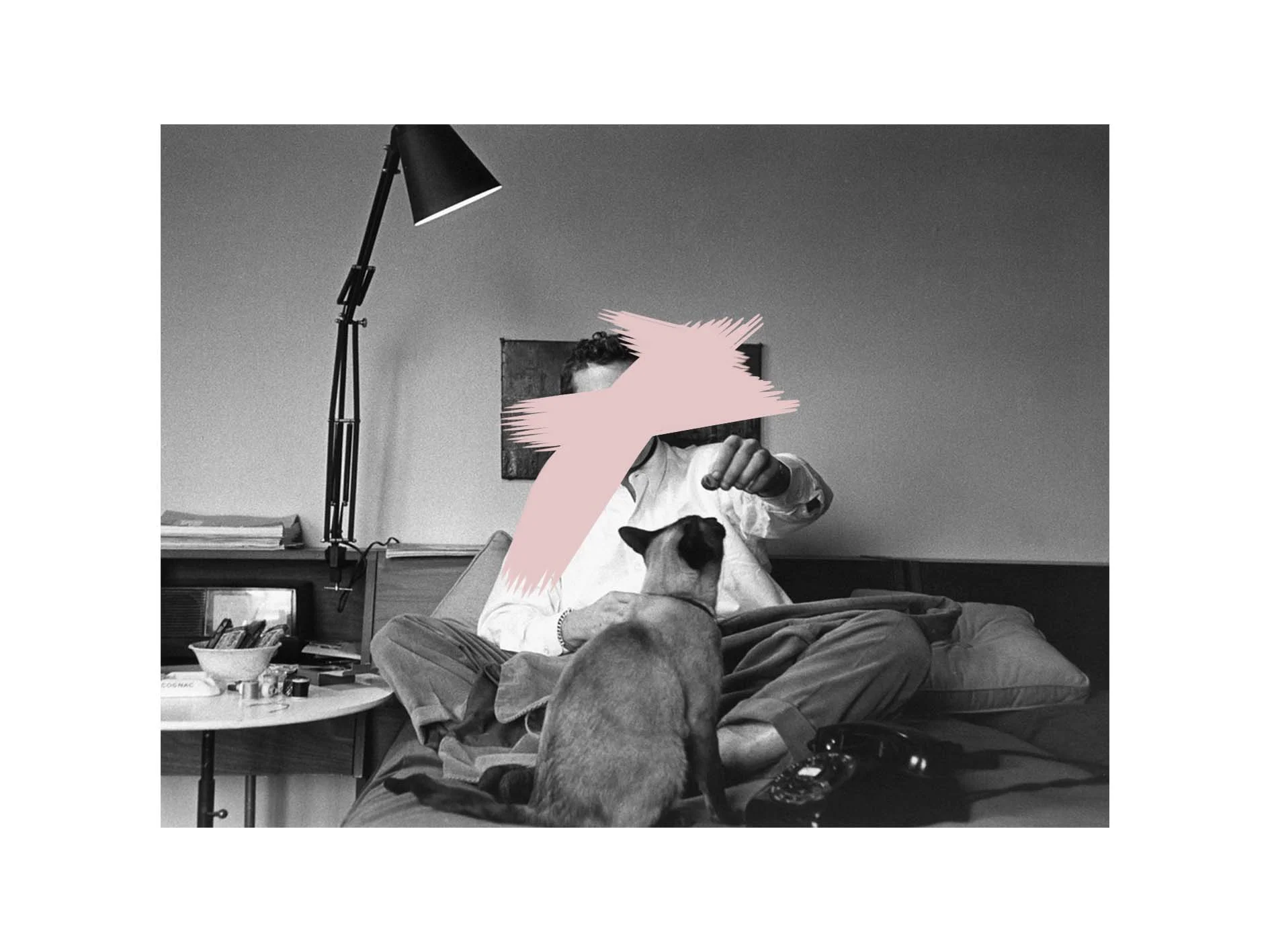 Collage by Aylea Skye/ Original Images by Unknown Sources