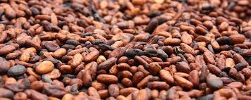 Ivory Coast, Ghana Seek Higher Cocoa Prices 