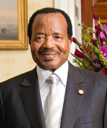 Cameroonian Presidential Bodyguards Arrested in Switzerland