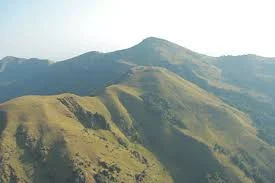  Israeli Billionaire To Stand Trial For Alleged Corruption In Guinea Mining Sector