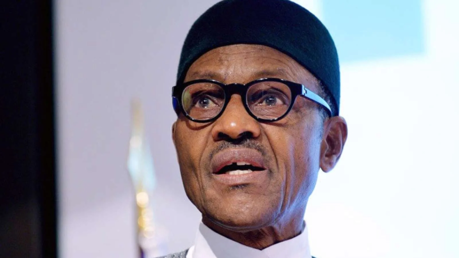 Nigerian President promises visas for Africans on arrival