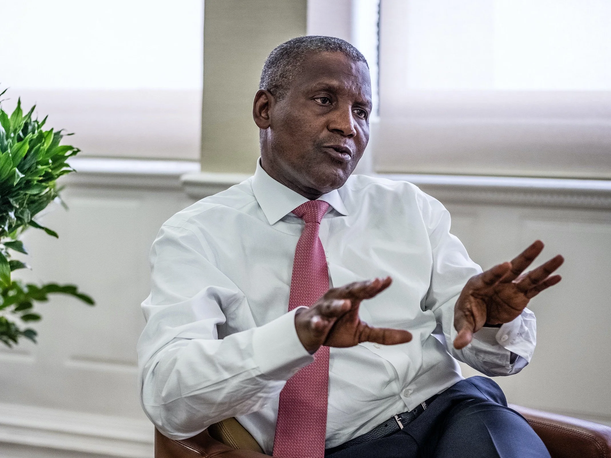 Africa’s wealthiest man ends the year US$4.3 billion richer