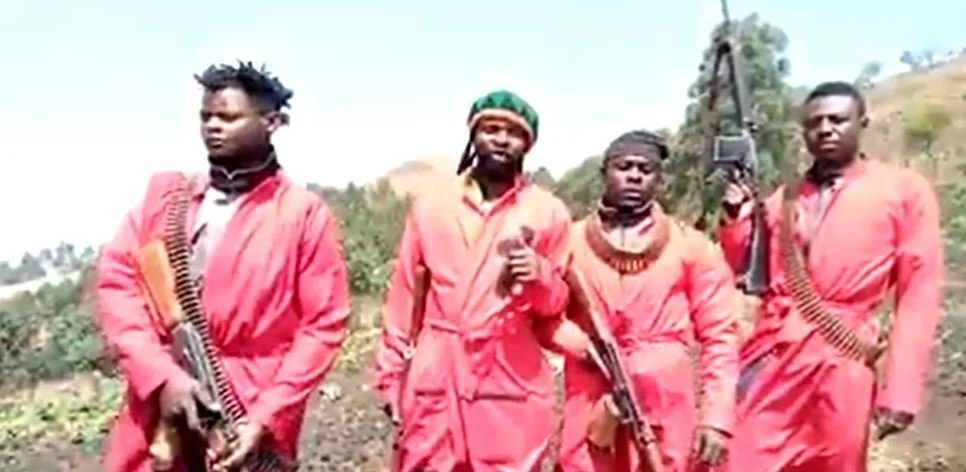 Cameroon: anglophone separatists turn to infighting