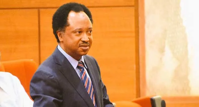 Nigeria: ex-politician released on bail after bribing anti-corruption chief