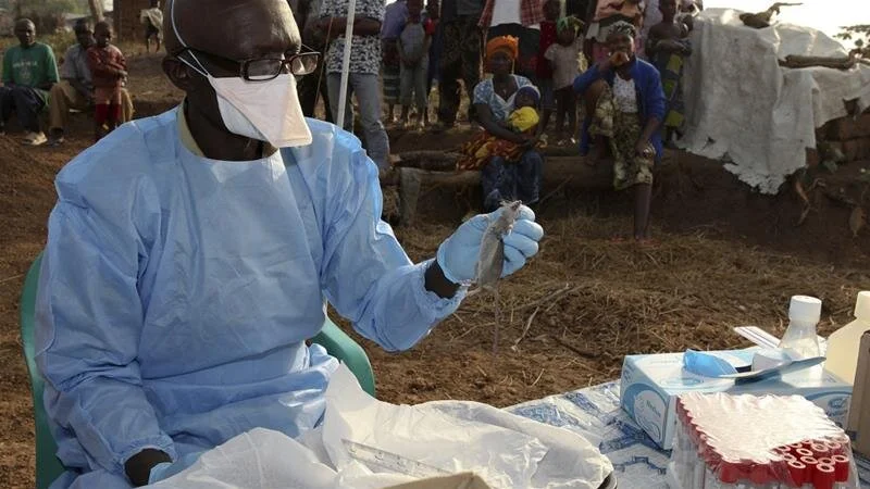 Lassa fever death toll in Nigeria reaches 70