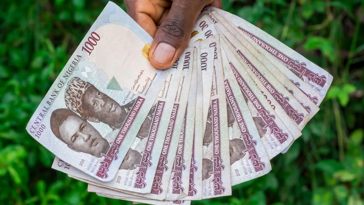 Nigeria calls for delay in launching regional currency 