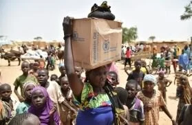 Niger: 20 killed in stampede for aid 