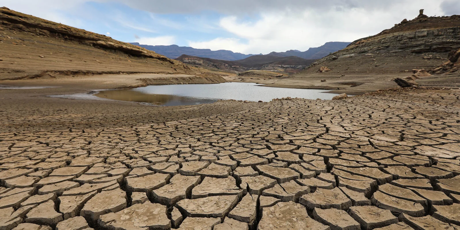 Mmusi Maimane: The climate crisis may be global, but Africa has a particularly important role to play
