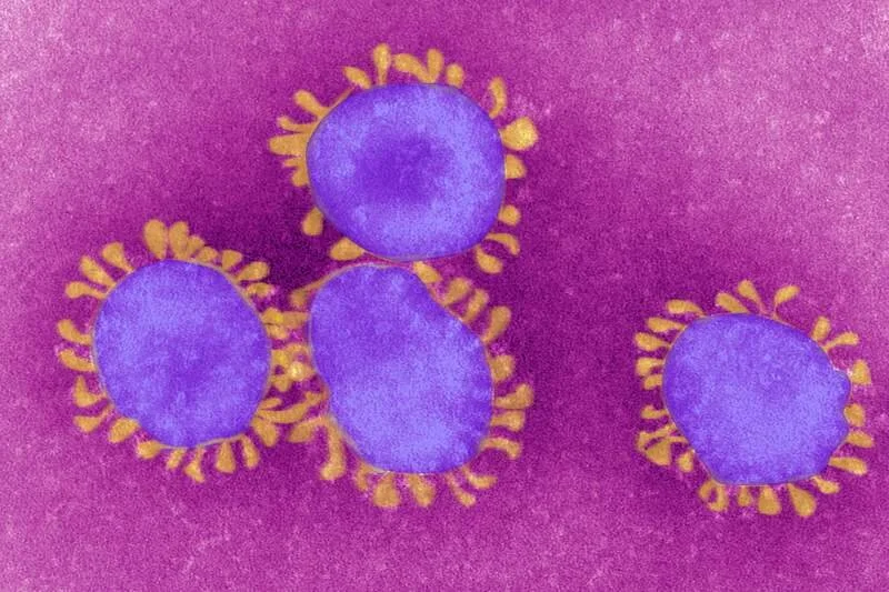 Ghana and Gabon confirm their first coronavirus cases