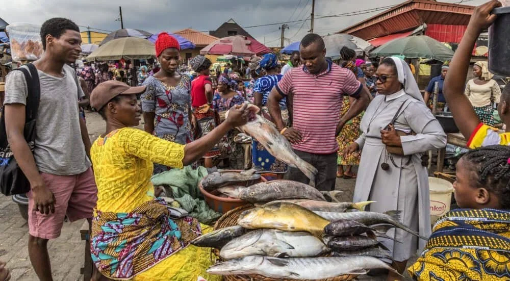 West Africa's Fisher Women Are Experts At Coping With Job Insecurity - but Policymakers Are Using Their Resilience Against Them