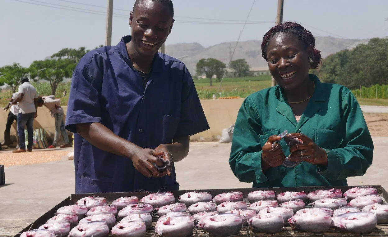 The Mastercard Foundation aims to redevelop Nigeria's agro-economy 