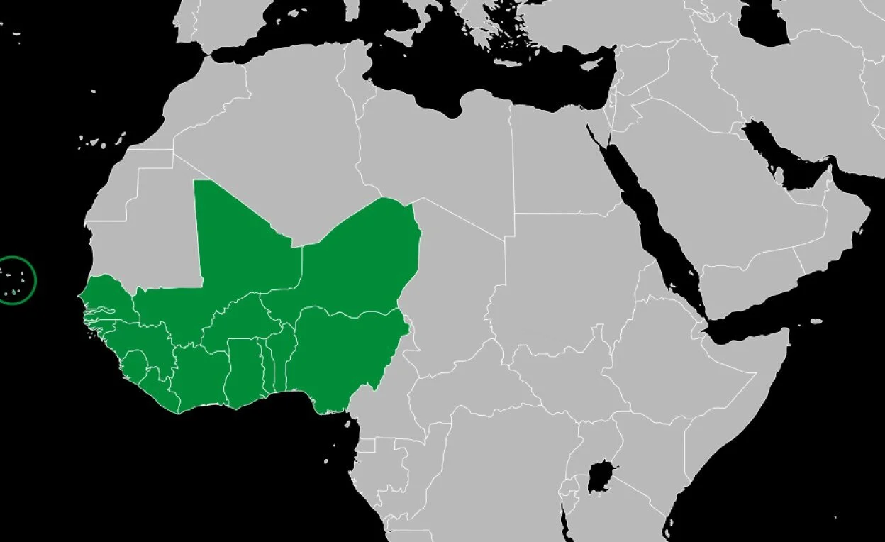 ECOWAS Recommends Gradual Re-Opening of Regional Borders