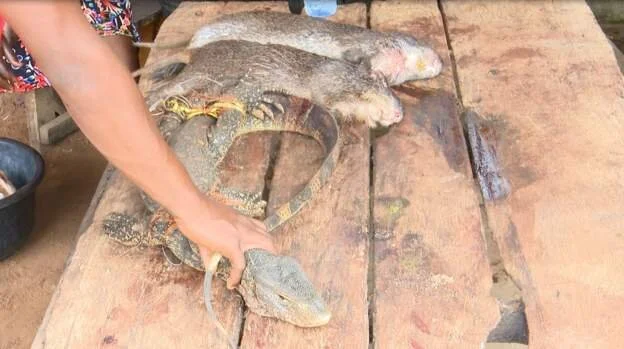 Wildlife markets still open in Nigeria despite Covid-19