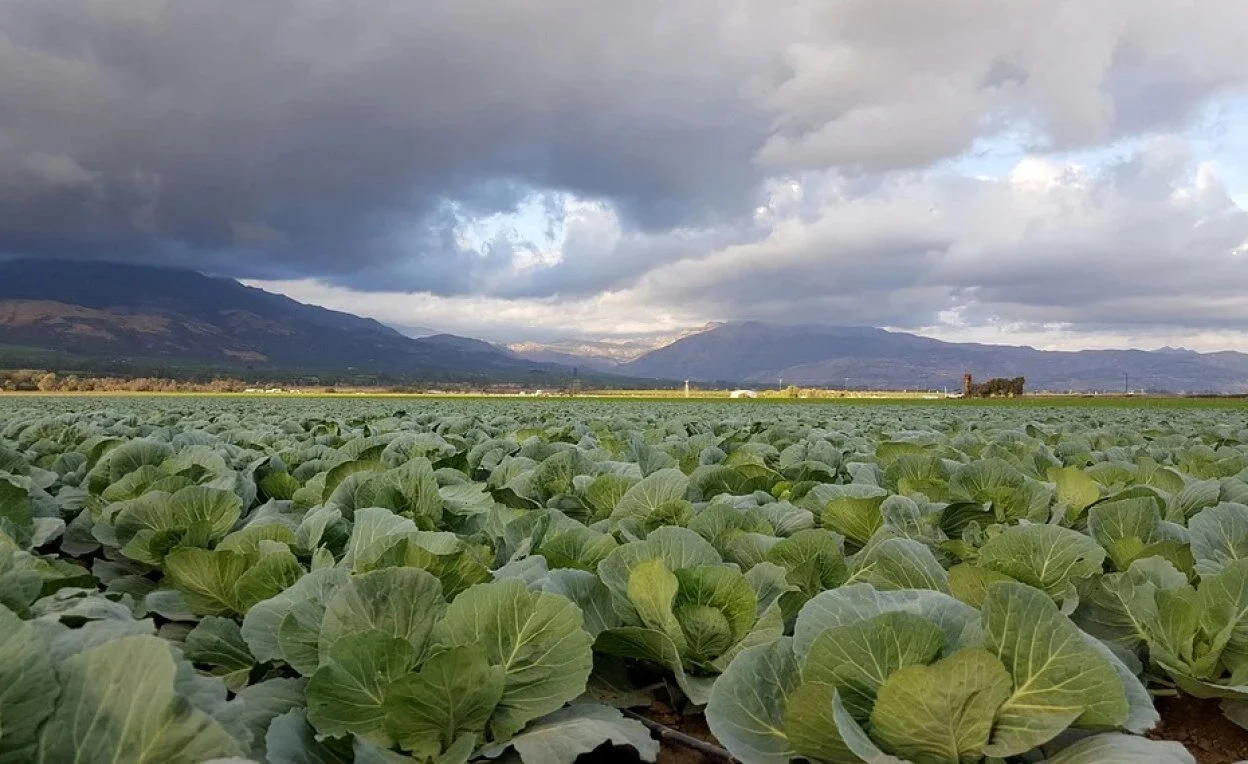 Nigeria: Enhancing Food Security Through Public Private Partnership