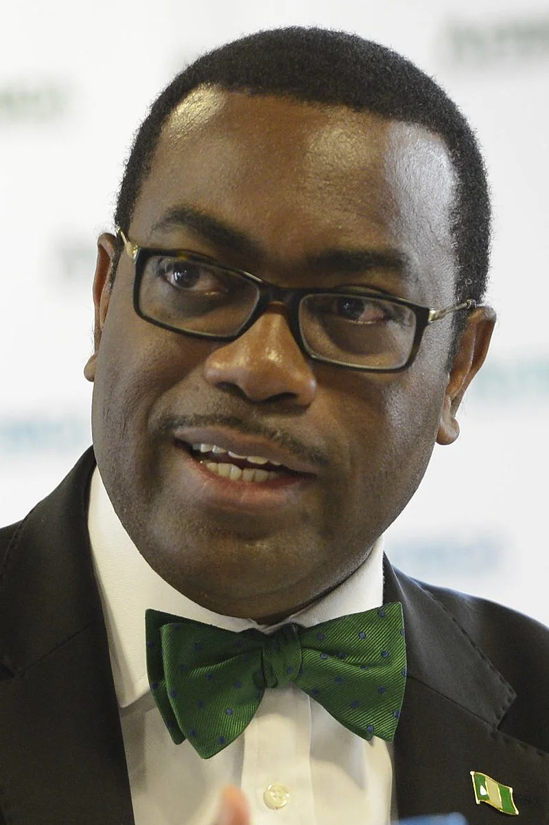 AfDB Names Three Persons to Review Report On Adesina