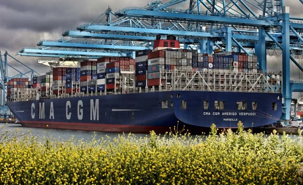 Sea Change in Sight in the Fight Against Global Forest Crimes