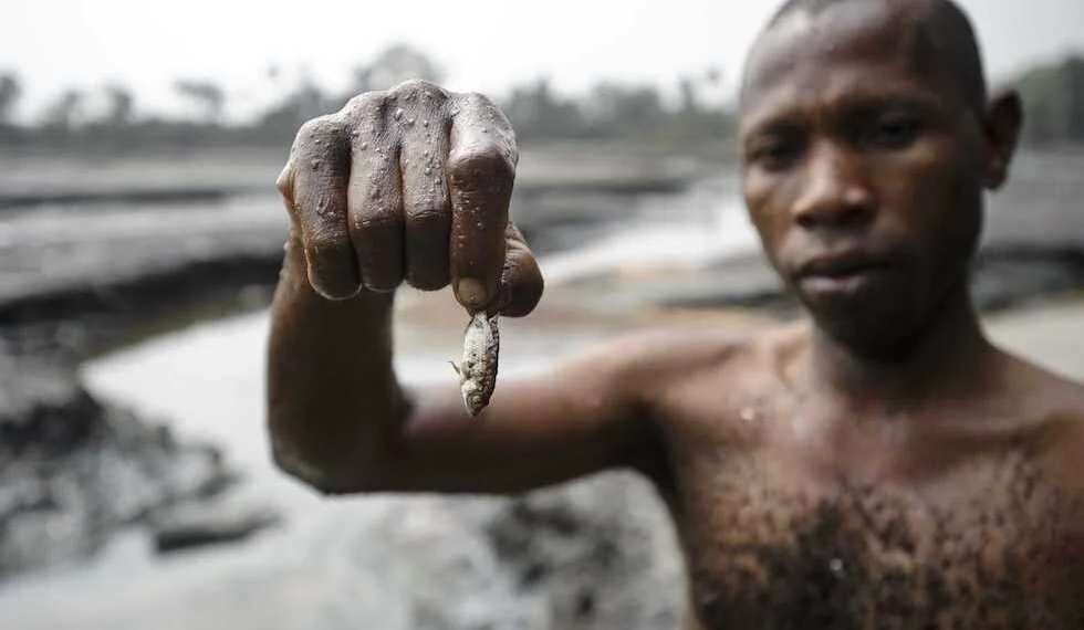 Nigeria: Ogoni Elders Unhappy With 'Snail Speed' of Clean-Up Project