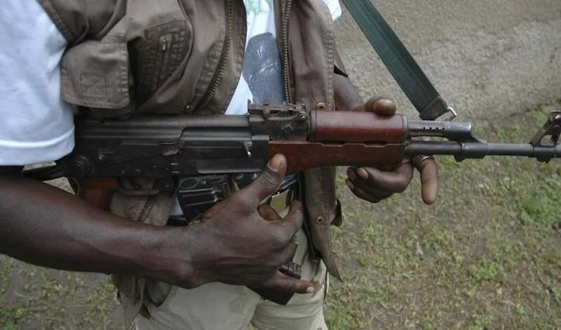 Nigeria: Gunmen Abduct 17 Family Members, Injure Four Others in Kaduna