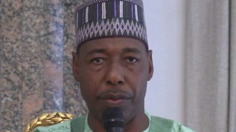 'Bomb on donkey' used to ambush Nigerian governor