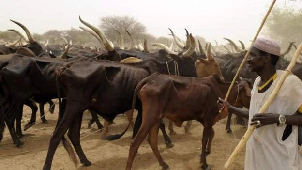 Nigerian governors end free range grazing amid clashes