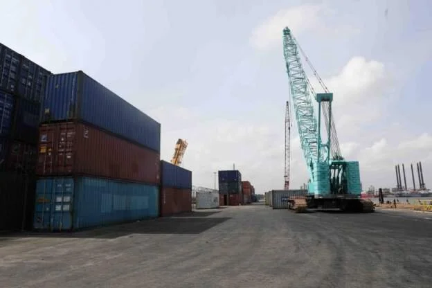 Nigeria intercepts pangolin shipment