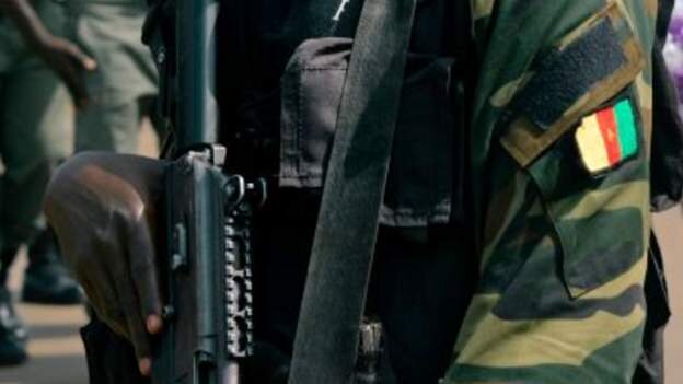 US calls for inquiry of Cameroon 'revenge rapes'