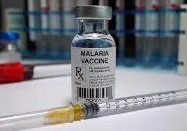 Better malaria vaccine proved in Burkina Faso trials 