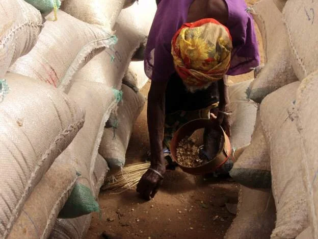 UN seeks urgent aid for 29m hungry in Sahel 