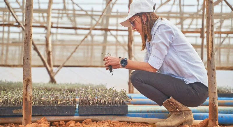 Women in Agriculture - 'How I Left U.S. to Build Tomato Company in Nigeria' 
