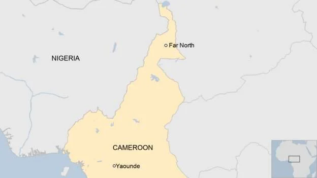 Fifty Boko Haram militants surrender in Cameroon 