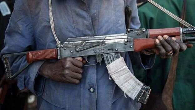 Nigeria's Kaduna state launches 'total war' against gangs 