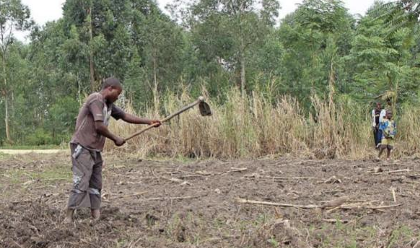 Militants abduct DR Congo farmers