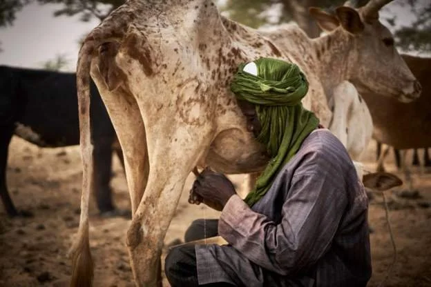 Warning as hunger trebles in Mali over one year