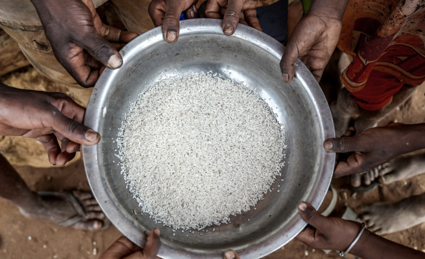 West Africa: Africa's Sahel Region Facing 'Horrendous Food Crisis'