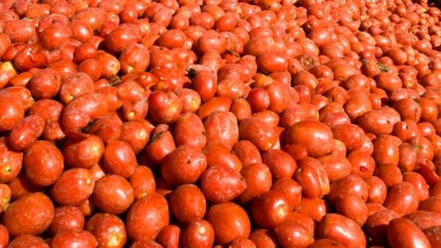 Nigeria tomato factory raided by motorbike gangsters 