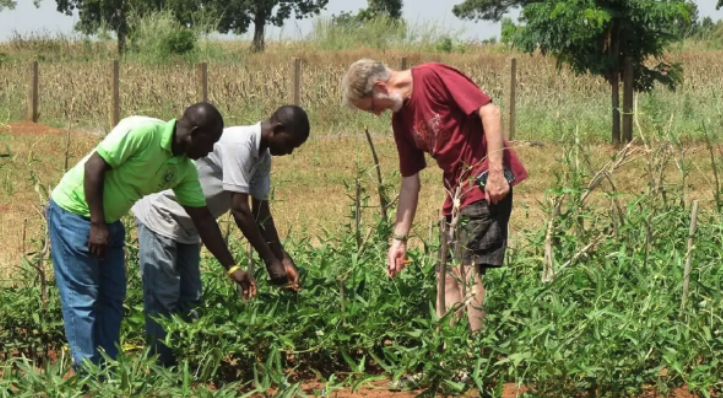 Nigeria: USAID Distributes Cowpea Processing Equipment Worth U.S.$220,000 to Women
