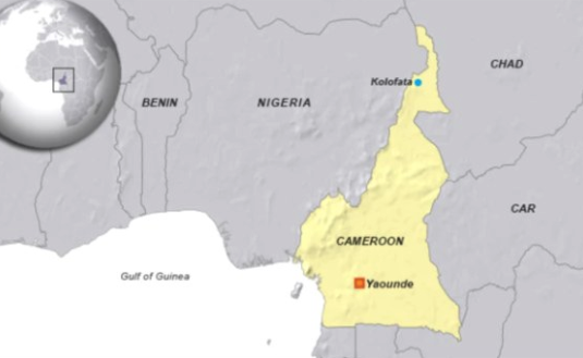 Cameroonian Villagers Protest China Iron Ore Mining Deal