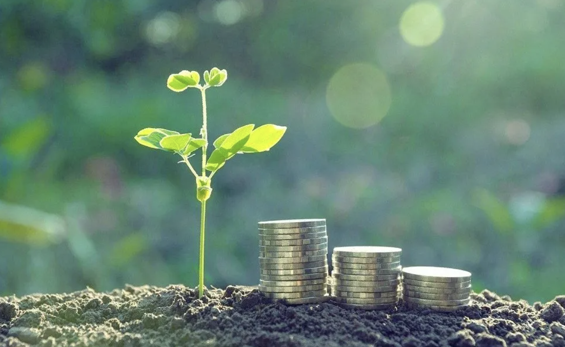 Nigeria - Debt Relief for a Green and Inclusive Recovery