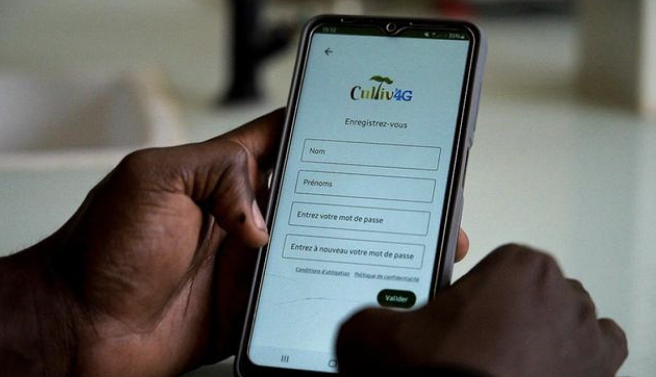 In Ghana, Mobile Apps Help Smallholder Farmers Get Fairer Prices