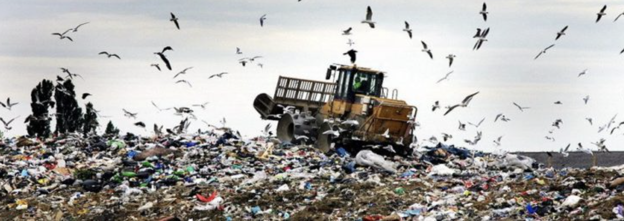 How Nigerian Students Became 'Change Agents' in Solid Waste Management