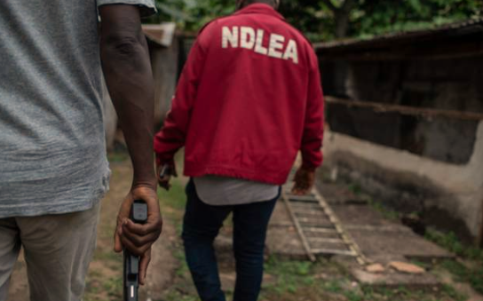 Nigeria’s Anti-Drug Agency in Mistaken Identity Raid