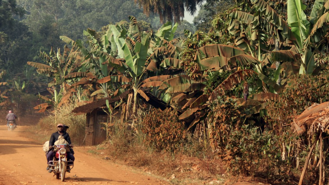 Cameroon: How Cameroon's Traditional Rulers are Leading Communities on the Climate Crisis #AfricaClimateHope