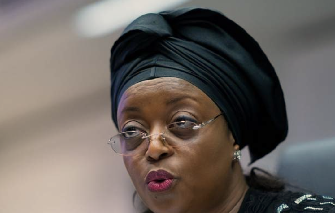 Nigeria Orders Final Seizure of Assets of Ex-Oil Minister