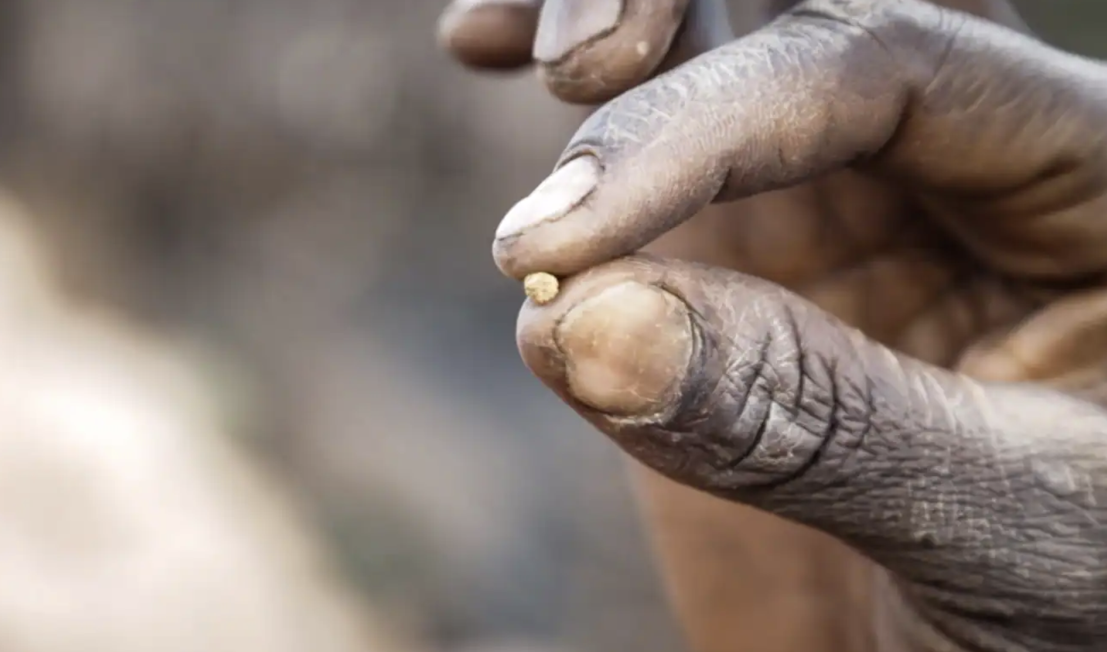 Senegal's Women Gold Miners Carry Heavy Burden