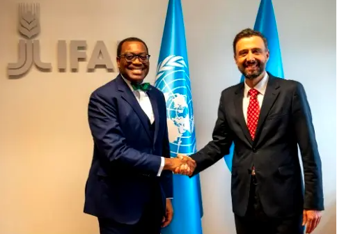  It's Inexcusable for Africa to Suffer Food Insecurity - AfDB Boss