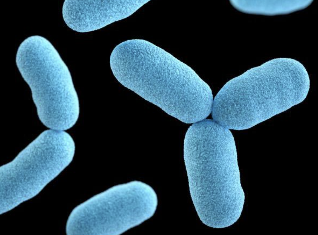 Nigeria: Diphtheria - Kano, 3 Others Record 123 Cases, 38 Deaths