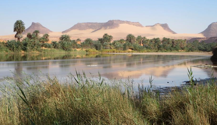 Plans Afoot For Chad Basin's Economic Recovery