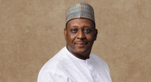 Former Nigerian Minister is New CEO of Global Vaccine Alliance