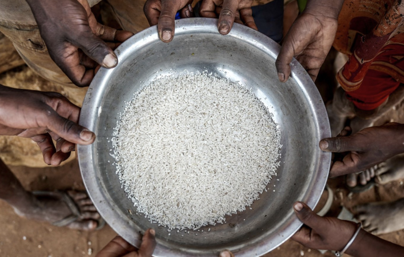 25.3 Million People to Face Food Insecurity in Nigeria - FAO